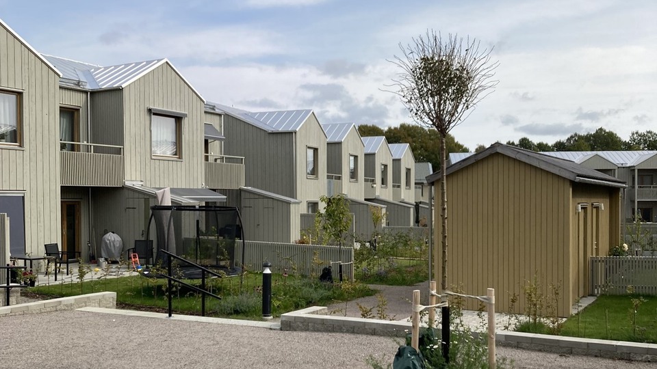 Radhus i trä med gräsplätt